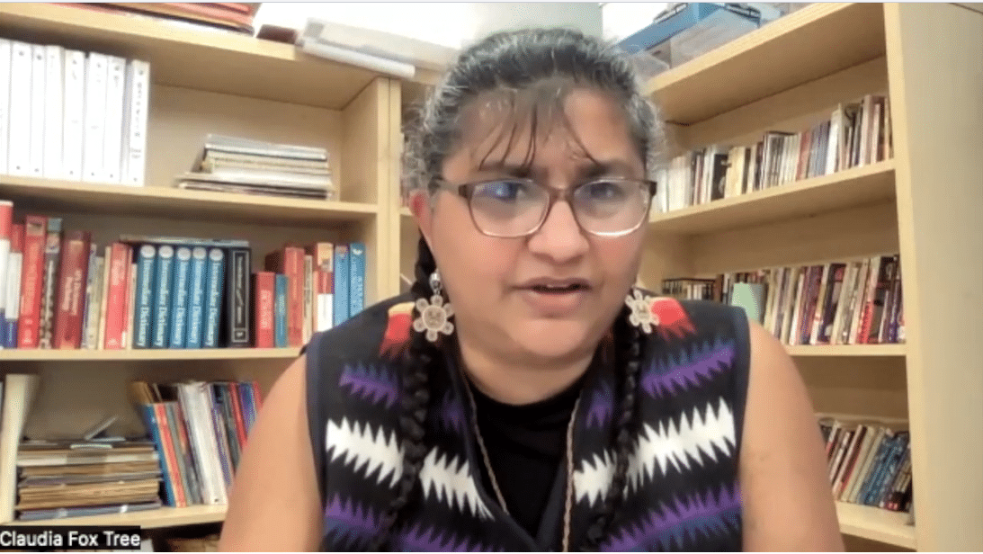 https://culturaconnector.com/wp-content/uploads/2025/09/Quest-For-Caribbean-Cure-Claudia-Fox-Tree.png